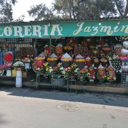Floreria Jazmin