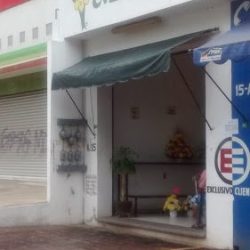 Florería Jazmín