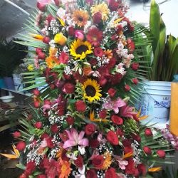 Floreria Jazmin