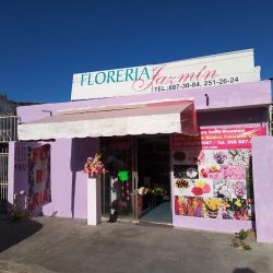 Floreria Jazmin