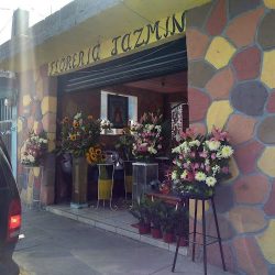 Floreria Jazmin