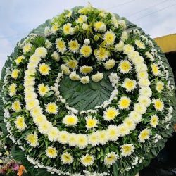 Florería Jazmín
