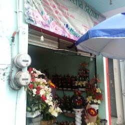 Florería Jazmín