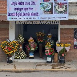 Florería Jazmín Teoloyucan