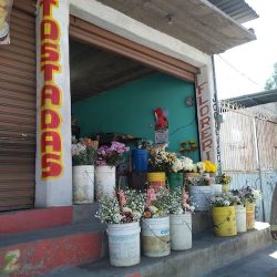 Florería Jazz