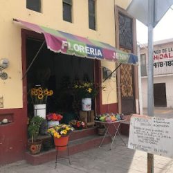 Florería Jenny