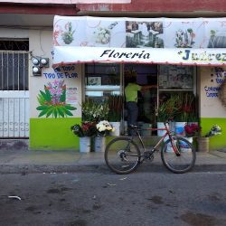Florería "jessy"