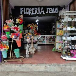 Florería Jesús