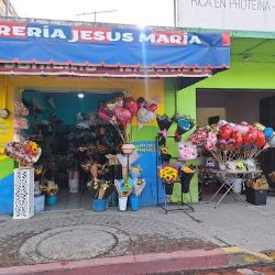 Florería Jesus Maria