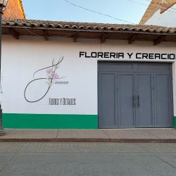 Floreria Jimena