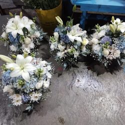 FlorerÍa Jimenez