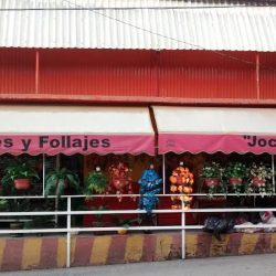 Florería "jocelyn"