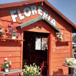 Florería Jonhy
