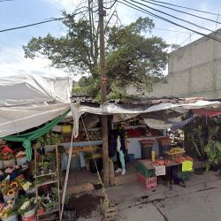 Florería Jorge's