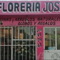 Florería Joshe