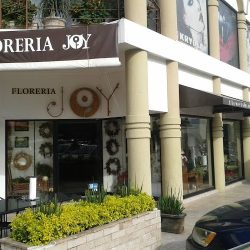 Floreria Joy