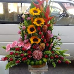 Floreria Jr