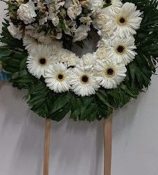 Floreria Juarez
