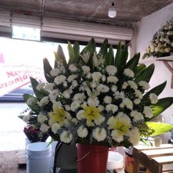 Florería Judith