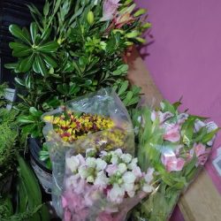 Florería Juquila