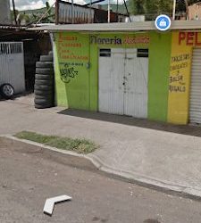 Floreria Juquilita