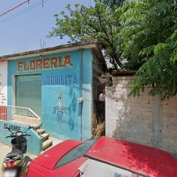 Floreria Juquilita