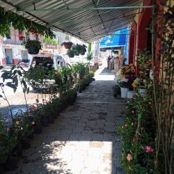 Florería Juquilita