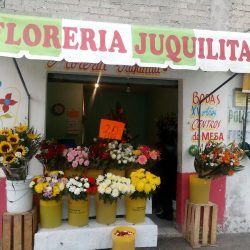 Floreria Juquilita