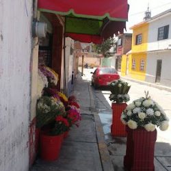 Florería Juquilita