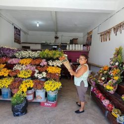 Floreria "juquilita"
