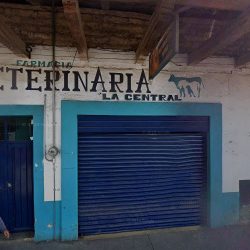 Florería Juquilita