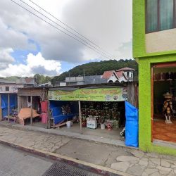 Florería Justo Juez