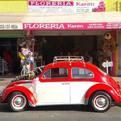 Florería Karen