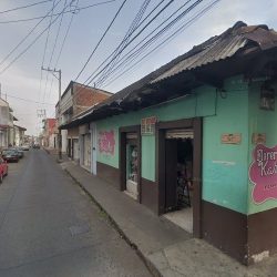 Florería Karla