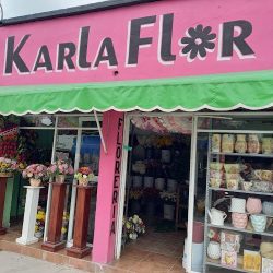 Floreria Karlaflor