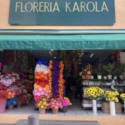 Florería Karola