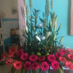 Florería Kenia