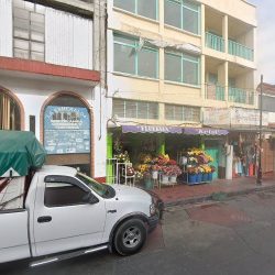 Floreria Ketzi