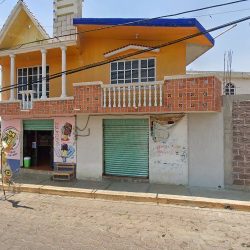 Floreria Kevin Para Toda Ocasión