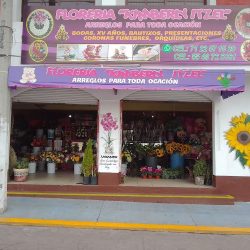 Floreria Kimberly Itzel
