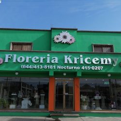 Florería Kricemy