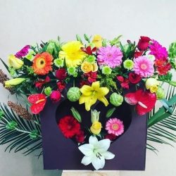 Florería Kristal
