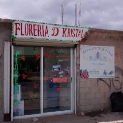Floreria Kristal