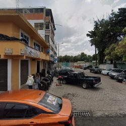 Florería Kristal
