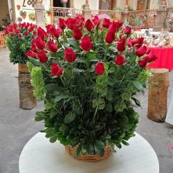 Floreria La Antigua