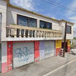 Floreria La Asuncion Ii