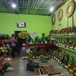 Florería La Bendición De Dios