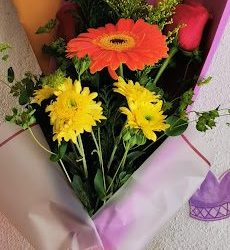 Florería La Cabaña De Las Flores