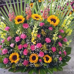 Florería "la Campanita"