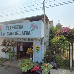 Floreria La Candelaria